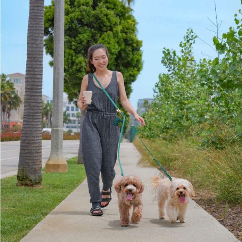 NWT Sunny Tails 4-in-1 Convertible Hands Free Cloud Dog Leash - Picture 6 of 6
